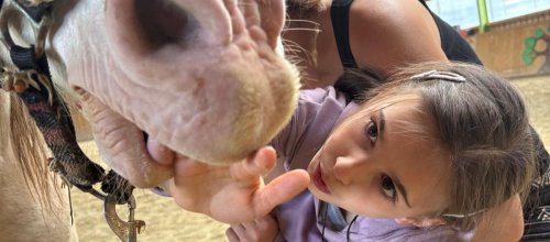 Kind wird unterstützt beim Spielen mit einem Pferd