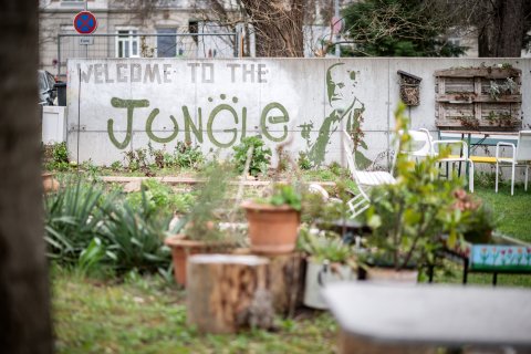 Garten mit Mauer und Graffiti